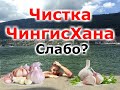 5. Чистка от паразитов по методу Чингисхана. Иван Кузьминов