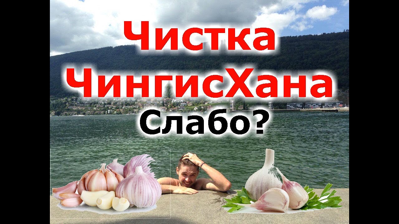 5. Чистка от паразитов по методу Чингисхана. Иван Кузьминов