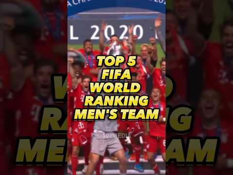 Top 5 Best