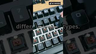 Hall Effect Keyboards: The New Competitors