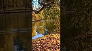 Журба / Павло Грабовський #українськамузика #українськіпісні #music