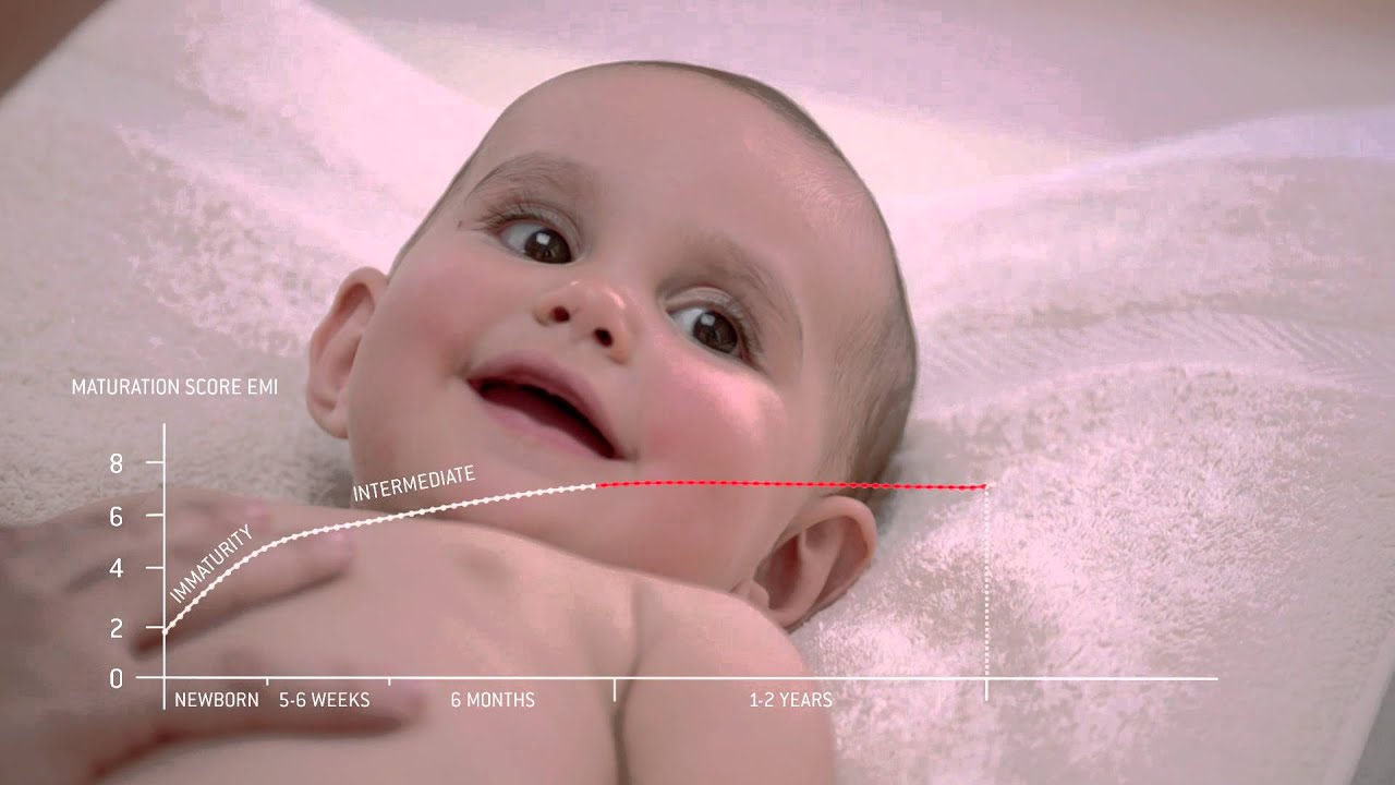 Short film on Avocado Perseose