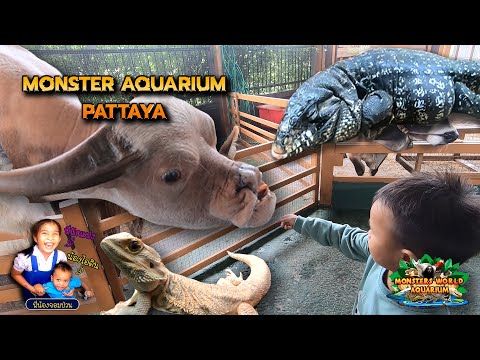 Monster Aquarium Pattaya #พิพิธภัณฑ์สัตว์น้ำ #พัทยา #Pattaya