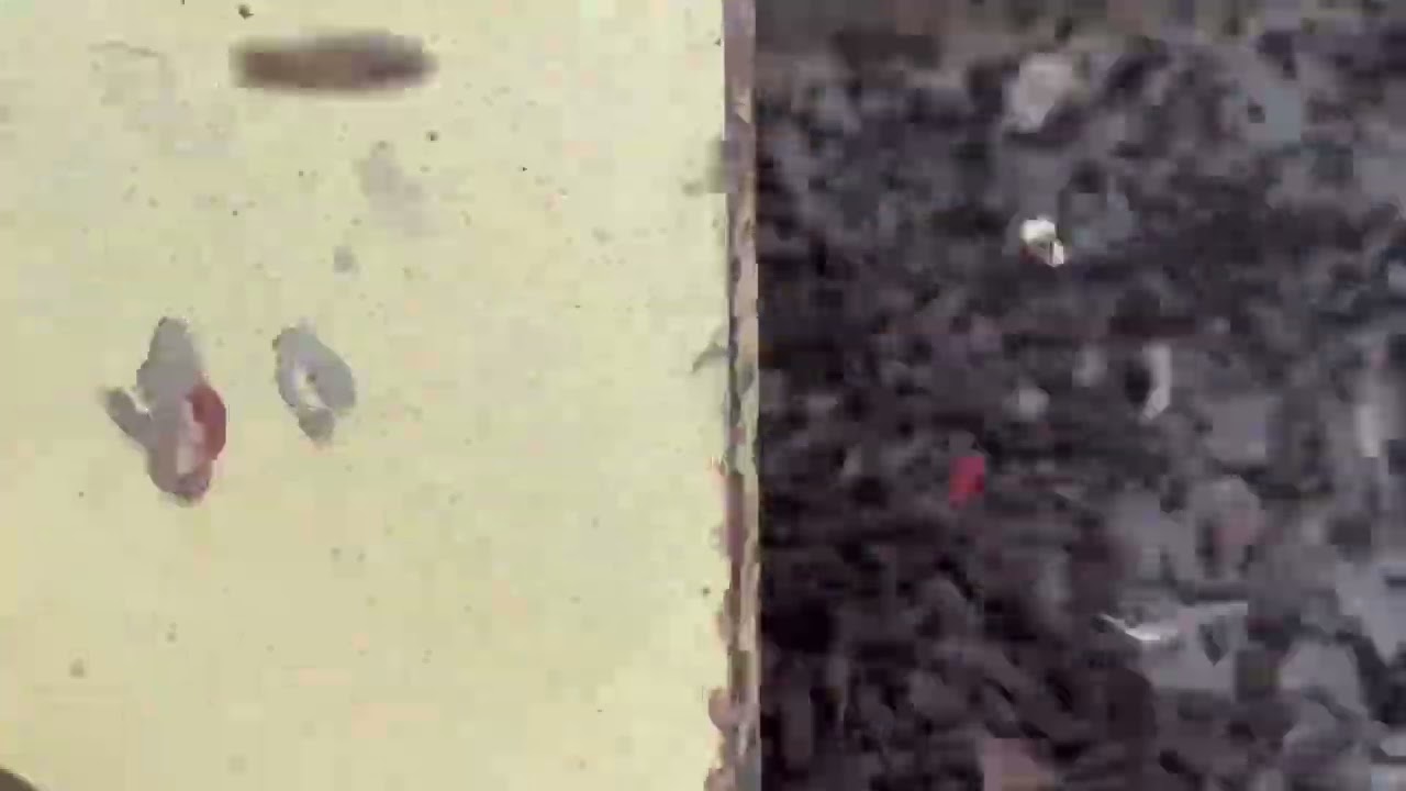 RDOlson 616 screening compost to 1/4” with ball deck