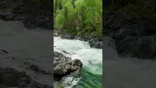 Девичьи плесы! Река Кумир!