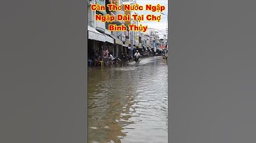 CẦN THƠ NƯỚC NGẬP ĐƯỜNG VÀO CHỢ BÌNH THỦY đường nước lên rồi #shorts