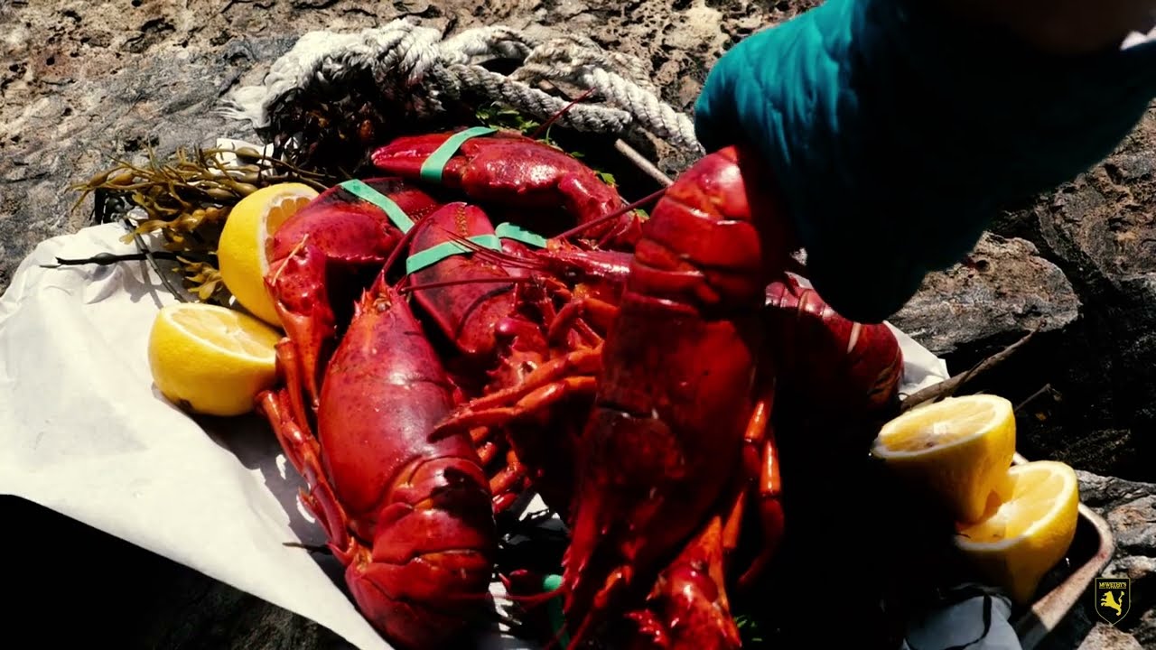 Maine Summer Series Lobster Boil YouTube