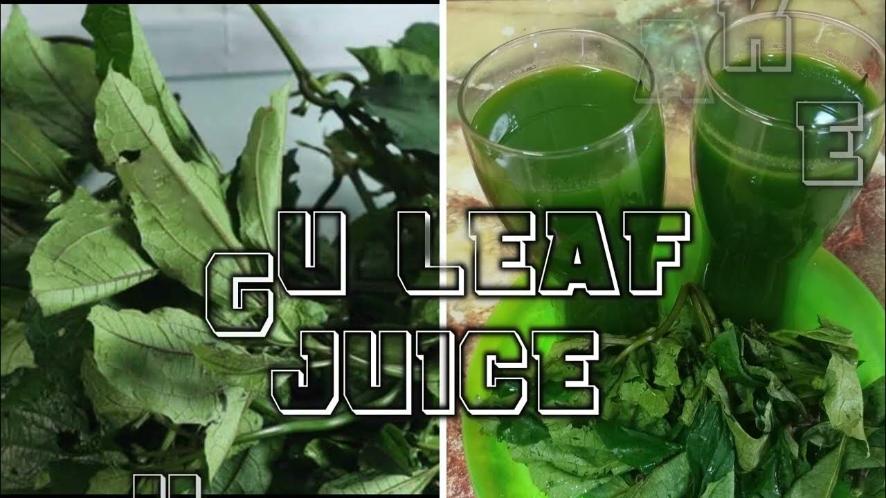 Ugu Juice Ugu Juice for Blood How to Make Ugu Juice YouTube