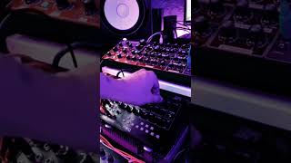 Neutron Pad #behringerneutron #moogmavis