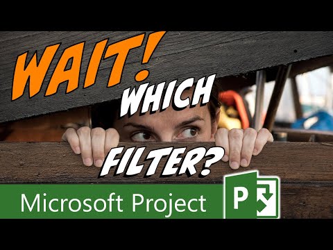 Why Are My Tasks Missing in Microsoft Project? Check Your Filters