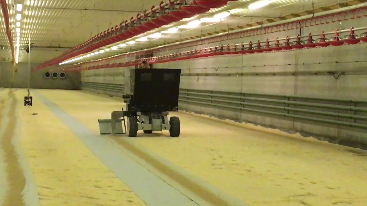 Kippenstal instrooimachine, Mestkuikens/ Einstreugerat fur Geflügelstall/ Poultry spreadingmachine