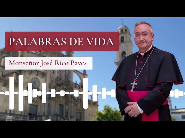 4º SEMANA DE ABRIL DE 2024 PALABRA DE VIDA DE MONSEÑOR RICO PAVÉS