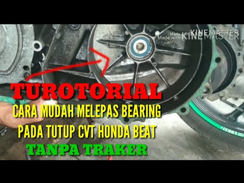 CARA MELEPAS BEARING CVT BEAT lampung timur news