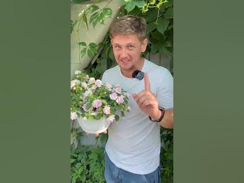 Баковая смесь, рецепт и условие применения - YouTube
