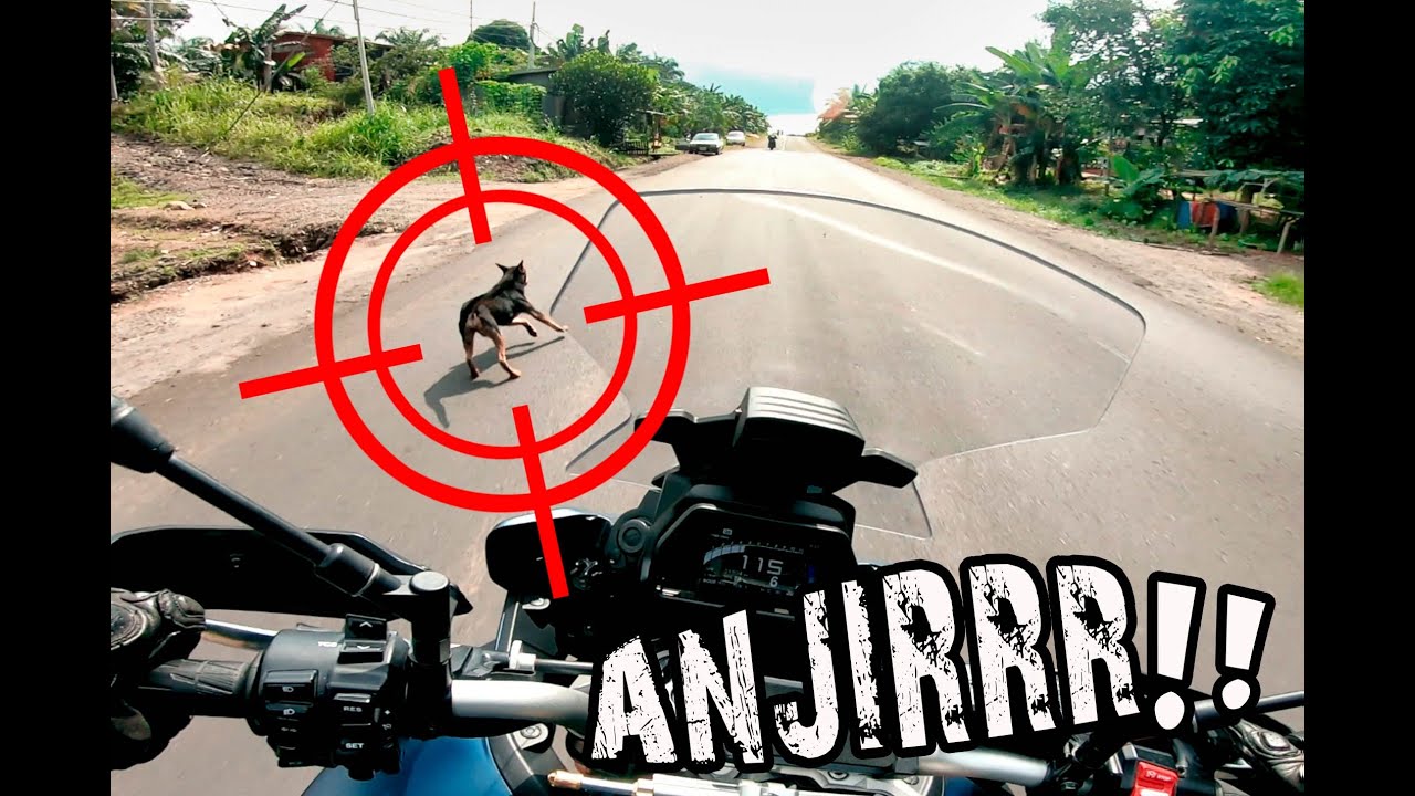 ANJING punya ANJING!! | Konvoi Ke Felda Sahabat 16 | PART 1