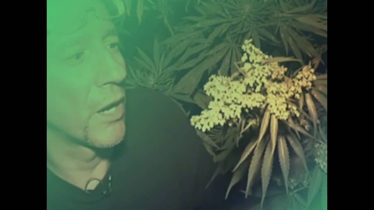 420 Weed TV estará en Expogrow 2016