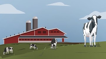 Semex Animated Explainer Video