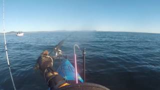 Kayak Fishing Nz Bop Yakmen 700 Comp
