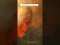 Un incendio forestal arde y se aproxima a los límites del norte en el condado de California