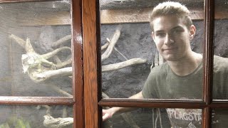 Massive Bioactive Iguana Cage!!! I Can Go Inside!!! | DIY Reptiles