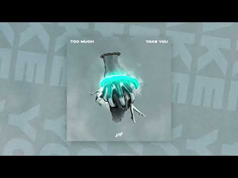 Too Much - Take You