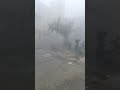 Blinding fog in Lahore this morning #youtubeshorts #youtube #ytshorts