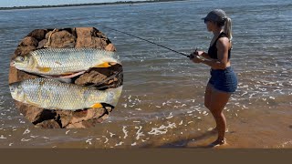 Download Lagu Catching lots of bogas at Camping Paraná Rembé 🎣🎣 #viral #catchandrelease #camping #sportfishing MP3