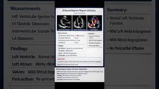 🫀 2D Echo Report – Heart function explained simply