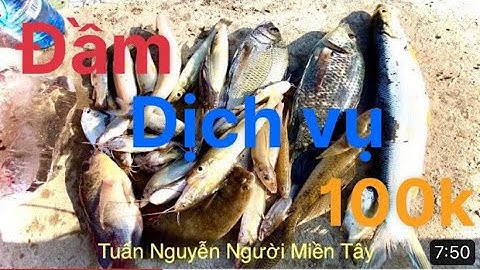 Bóng đục , cá tráp hanh, thờn bơn .. vv.. câu cá thiên nhiên ở lý Nhơn cần giờ..