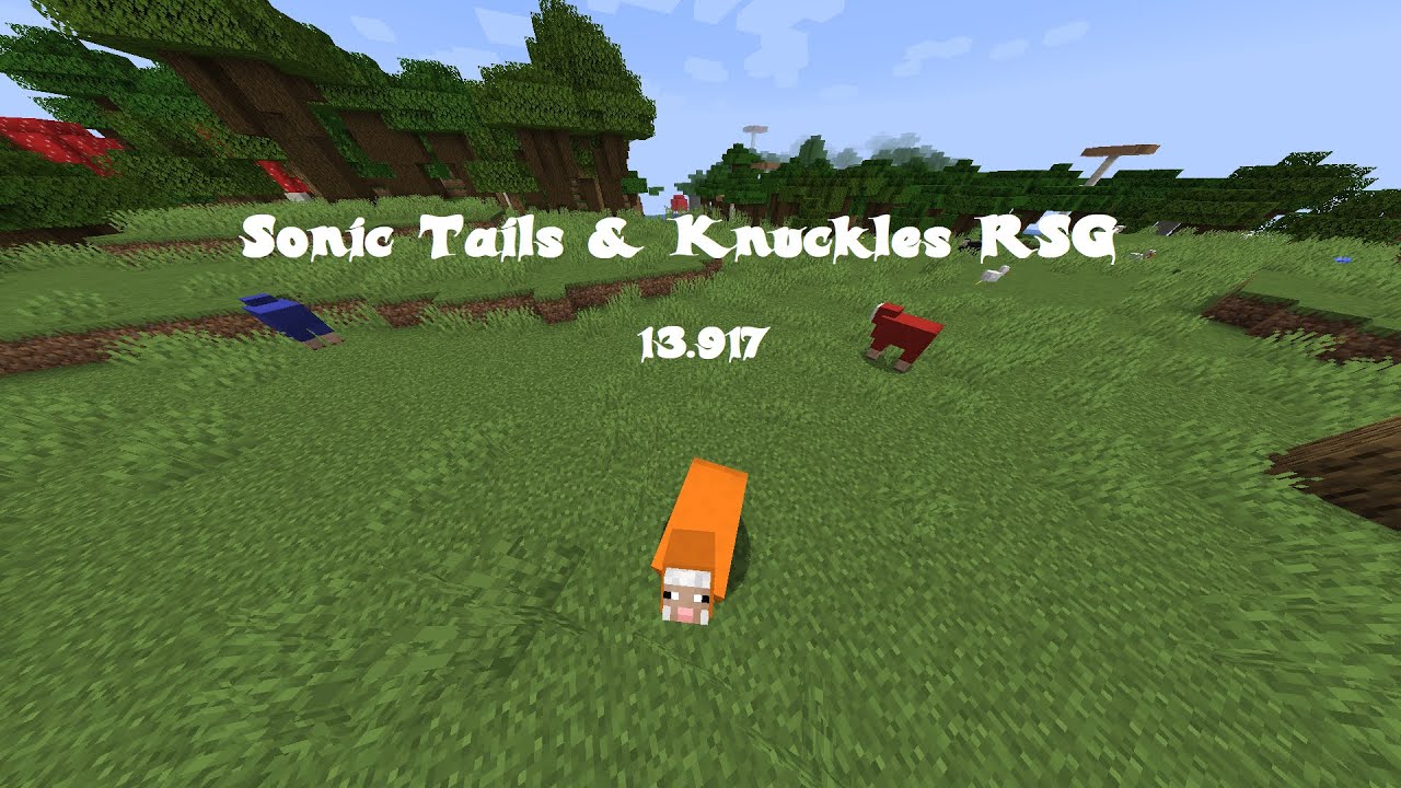 Minecraft RSG Sonic, Tails & Knuckles Speedrun (13.917) | 7TH PLACE