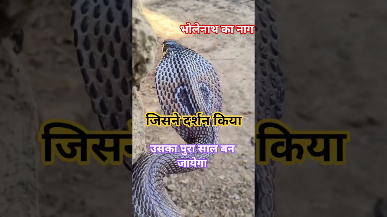 🔱भोले नाथ का प्रिय भक्त... 😱😳