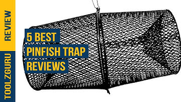 Best Pinfish Trap in 2024