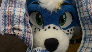 Surprising my Gay Uncles with Fursuit