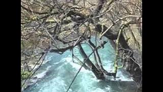 Edward Simoni -  Amazing grace ( Berberov buk )