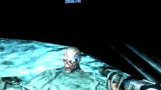 Fallout3 - Zombie Bug: Dancing Head