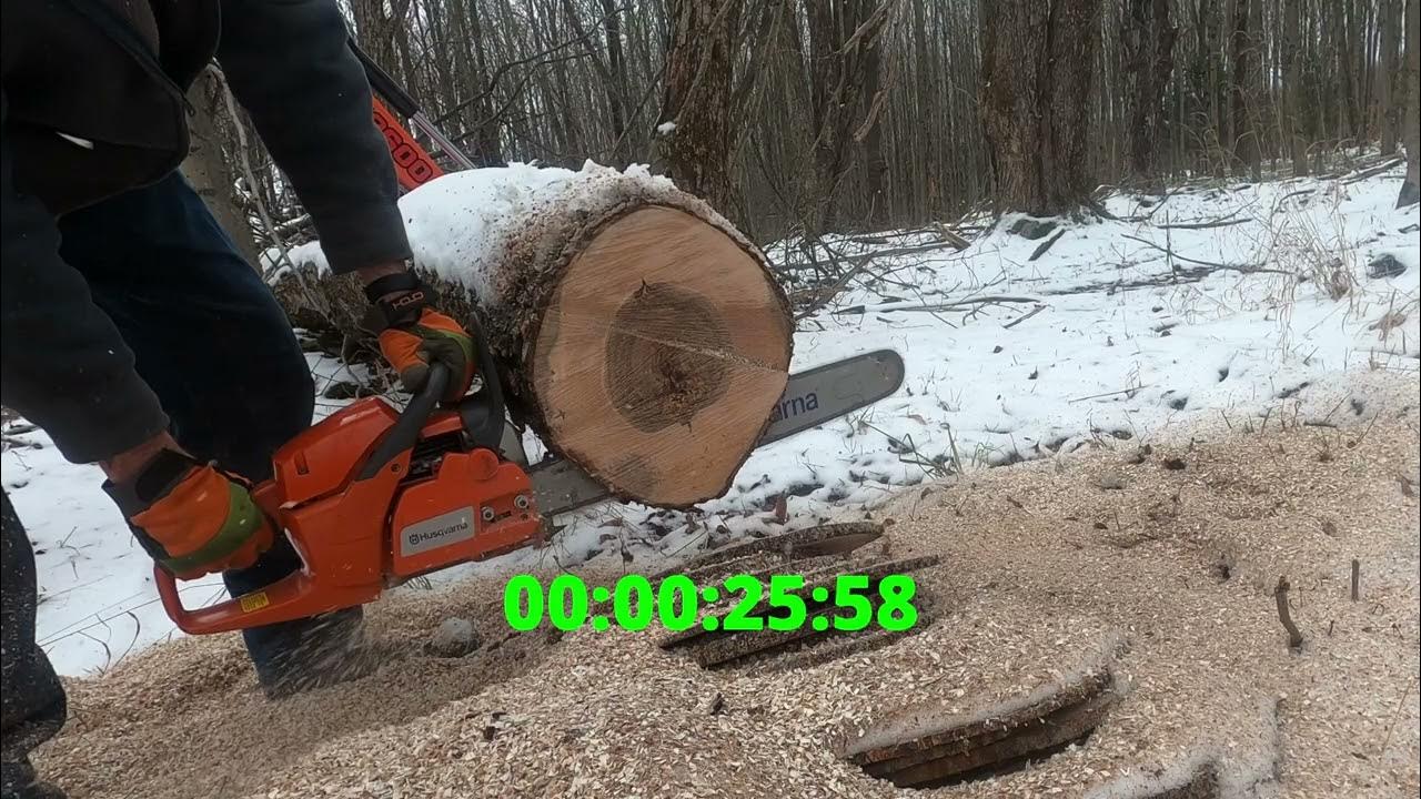 Husqvarna low kickback vs. Oregon full chisel cut speed YouTube