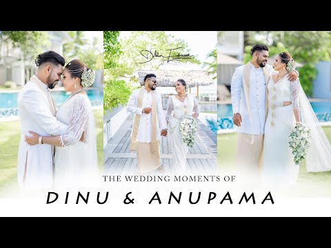 The Wedding Moments of Dinu & Anupama