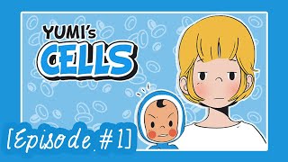 Yumi's Cells Comic Dub [Episode 1]