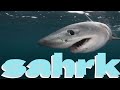 Jeff the Shark Time