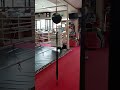 愛と感謝 今日も一生懸命に頑張ろう\(^o^)/