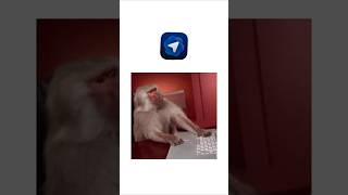 Atlas Browser Capacity Explained in 30 Seconds 🚀 #chatgpt #atlasbrowser #openai