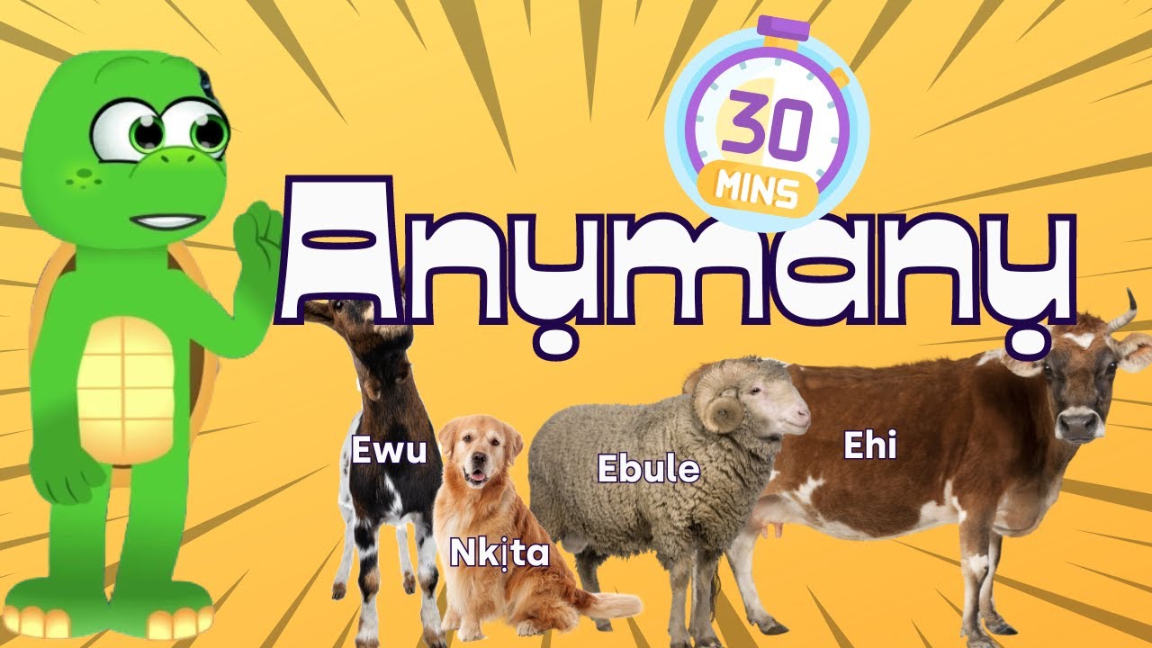 Maazi Nnabe teaches animals in Igbo for 30 minutes!