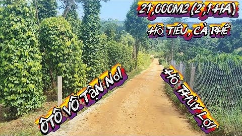 Bán vườn hồ tiêu vĩnh linh xen cà phê, hồ thủy lợi ôtô tận nơi, Tuy Đức Đăk Nông, LH:0344764784