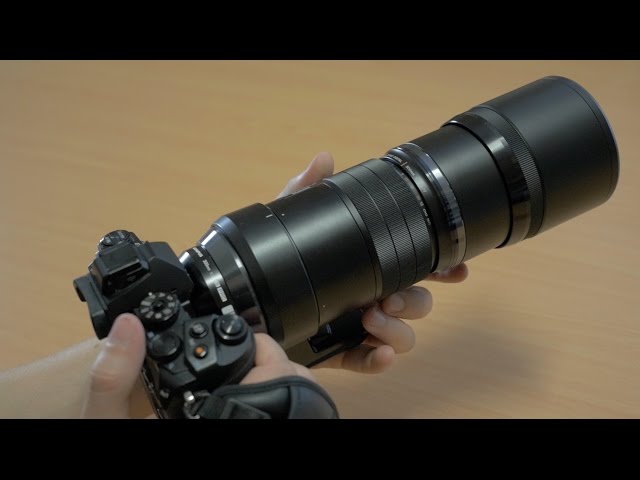 Voorspeller Regelmatigheid Reinig de vloer Olympus 300mm f/4 IS PRO Review - Olympus' sharpest lens? - YouTube