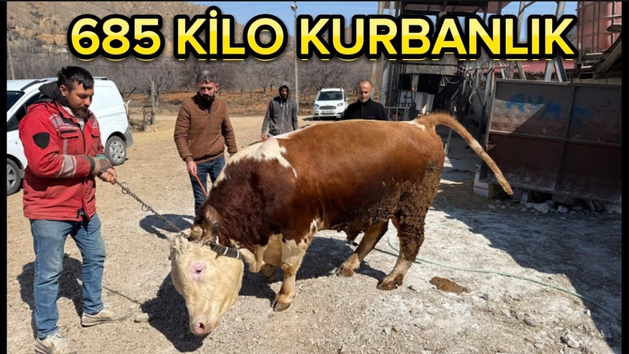 KURBANLIK HİSSE FİYATLARI 2025