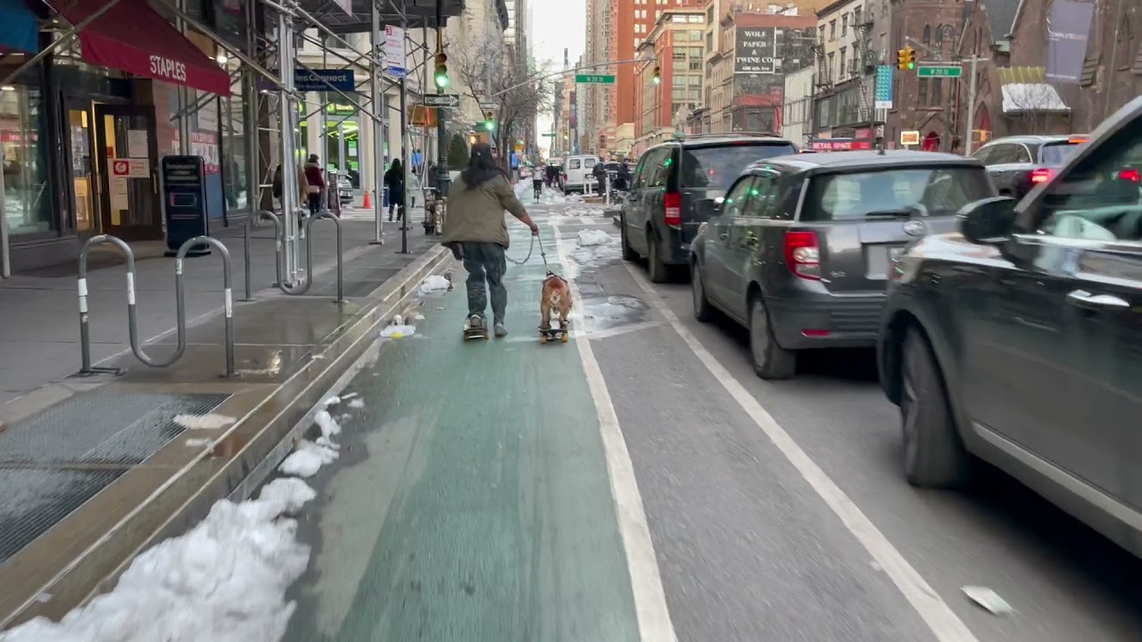 GET YOUR DOG ON. Not a cat. Not a cat.  A dog.  On a skateboard. On a sports network.