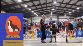 2024 ~ SVESSC ~ Supported Entry ~ Maryland Sporting Dpg Show