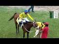 JAMAICA RACING: Brompton Boy From Gate To Wire, Sat, May 23, 2026, 3rd