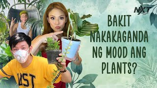 'Plantito, Plantita': Bakit nakakaganda ng mood at nakakasaya ang pag-aalaga ng plants? | NXT