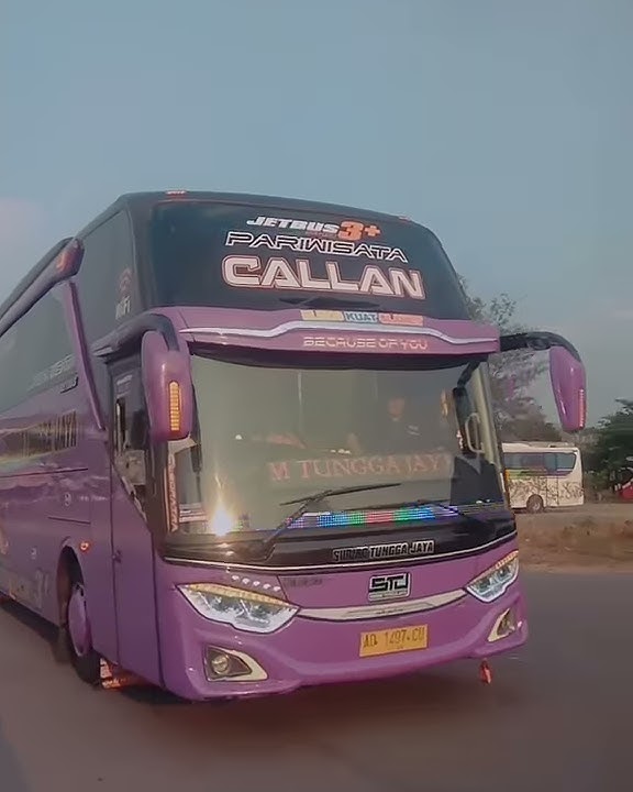 Kata kata supir bis STJ CALLAN,video story wa